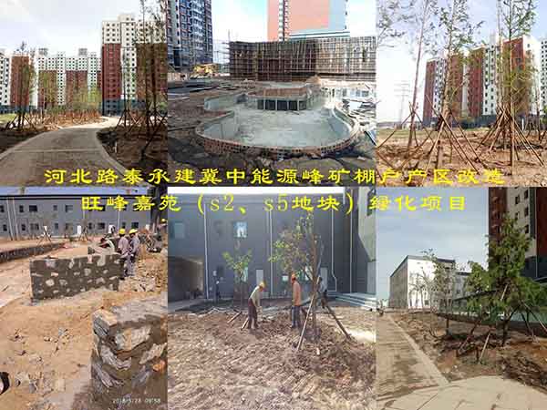 河北路泰承建冀中能源峰礦棚戶產(chǎn)區(qū)改造旺峰嘉苑（s2、s5地塊）綠化項目有序施工中